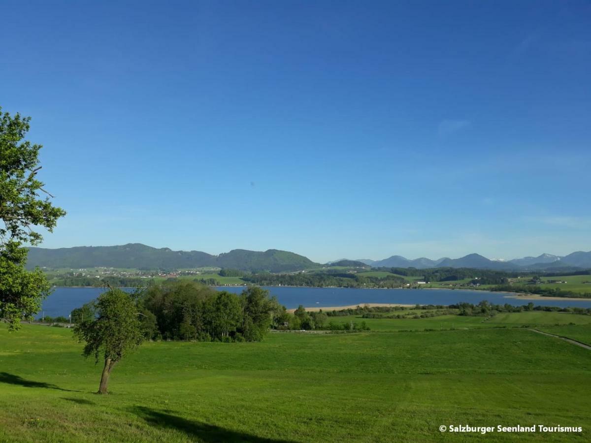 Pp-Camping Wallersee Зикирхен-ам-Валерзи Екстериор снимка