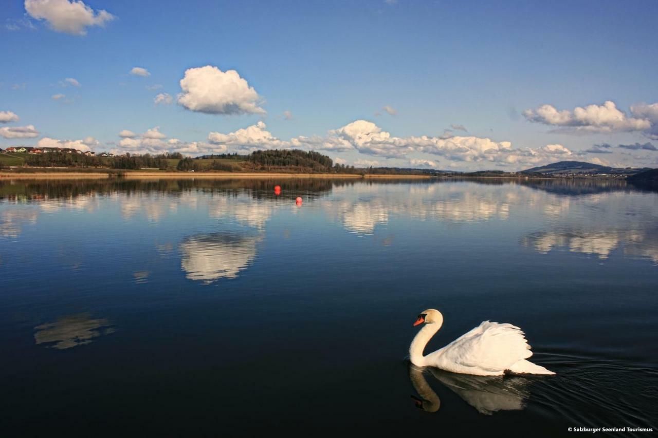 Pp-Camping Wallersee Зикирхен-ам-Валерзи Екстериор снимка