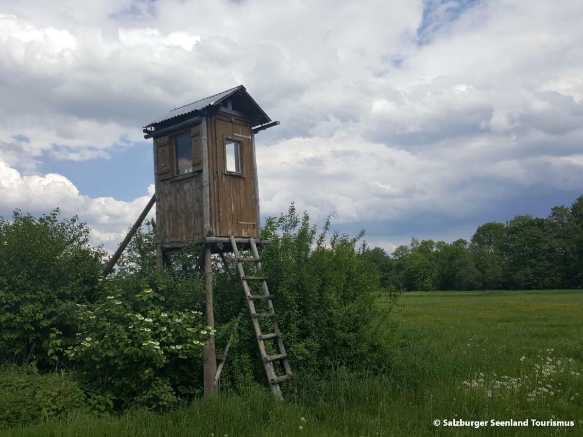 Pp-Camping Wallersee Зикирхен-ам-Валерзи Екстериор снимка